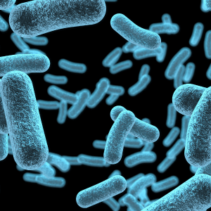 Antibiotic Resistance to Bacteria Beta 1 3D Glucan