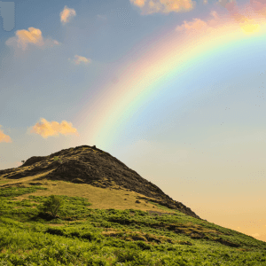 Earthing and Grounding