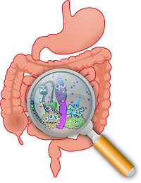gut health natural lymes disease treatment