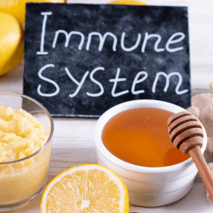 Immune System