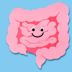 Intestinal System