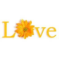Love Love Heart Health and Emotions
