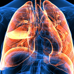 Respiratory System