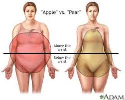 Body Shape Apple or a Pear