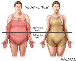 Body Shape Apple or a Pear