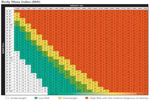 Body Mass Index Chart