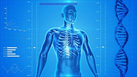 Structural Photo Skeletal System Disorders