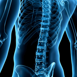 Structural Photo Structural System Structure and Disorders