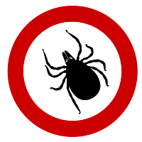 Tick - Natural Lymes Disease Treatment