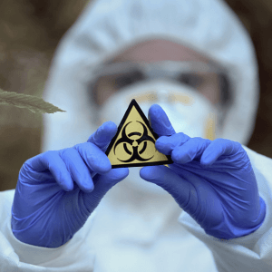 Environmental Toxins