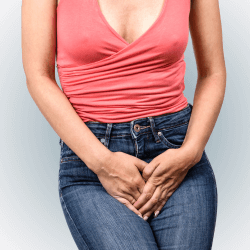 Kidneys and Bladder Photo Urinary System Disorders and Overview
