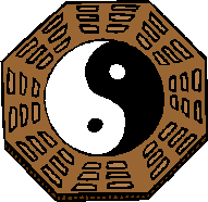 Yin abd Yang Traditional Chinese Medicine Theory