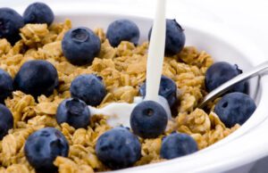 dietary fiber