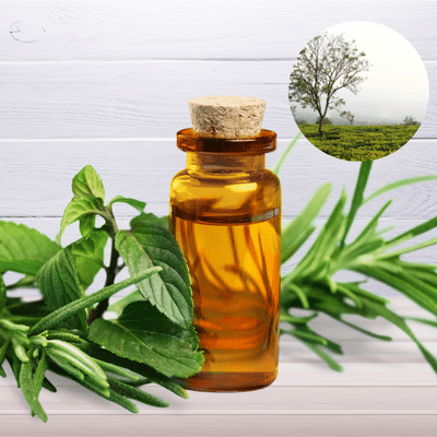 tea tree essential oil