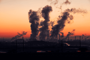 environmental toxins