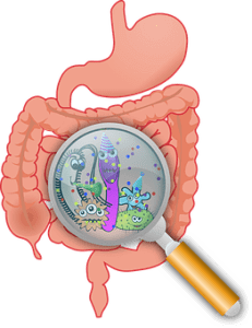 Gut Health