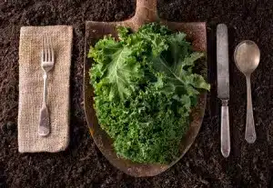 benefits of kale