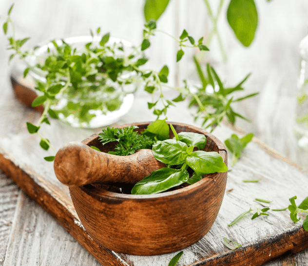 Nature's Sunshine Products Herbs and Supplements