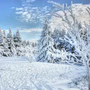 winter health tips