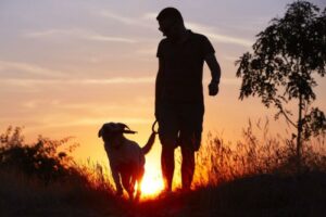 running with your dog