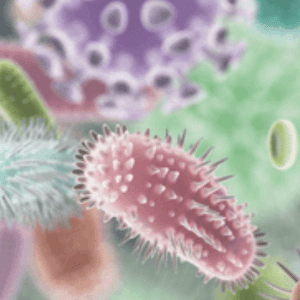 antibiotic resistance