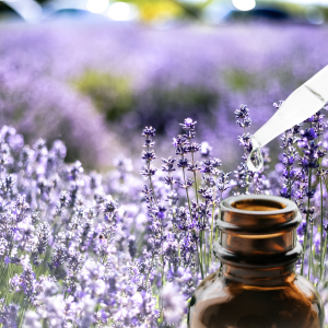 Essential Oils and Aromatherapy