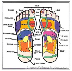 Foot Reflexology Chart