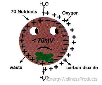 Cellular Energy Negative Potential