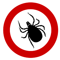 Tick