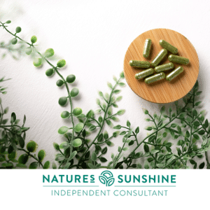 Gut Health Supplements