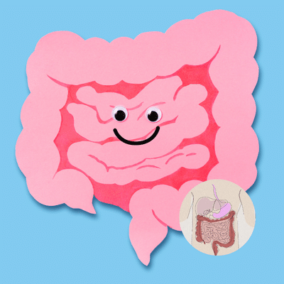 gut-health